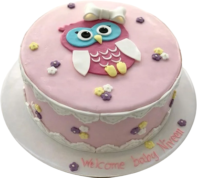 Owl Cake
